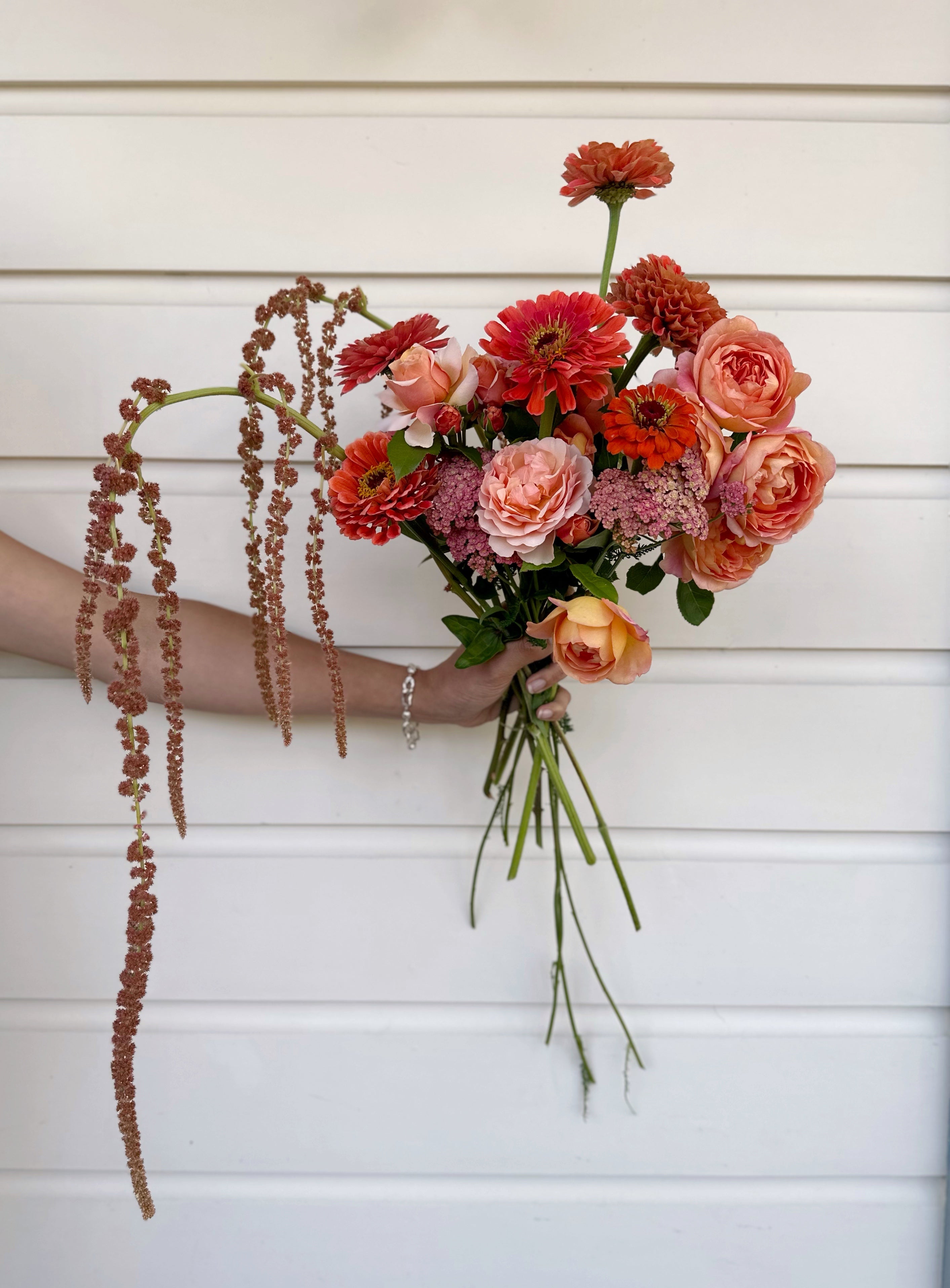 Cut Flower Zinnia Queen Salmon Seedling Pack