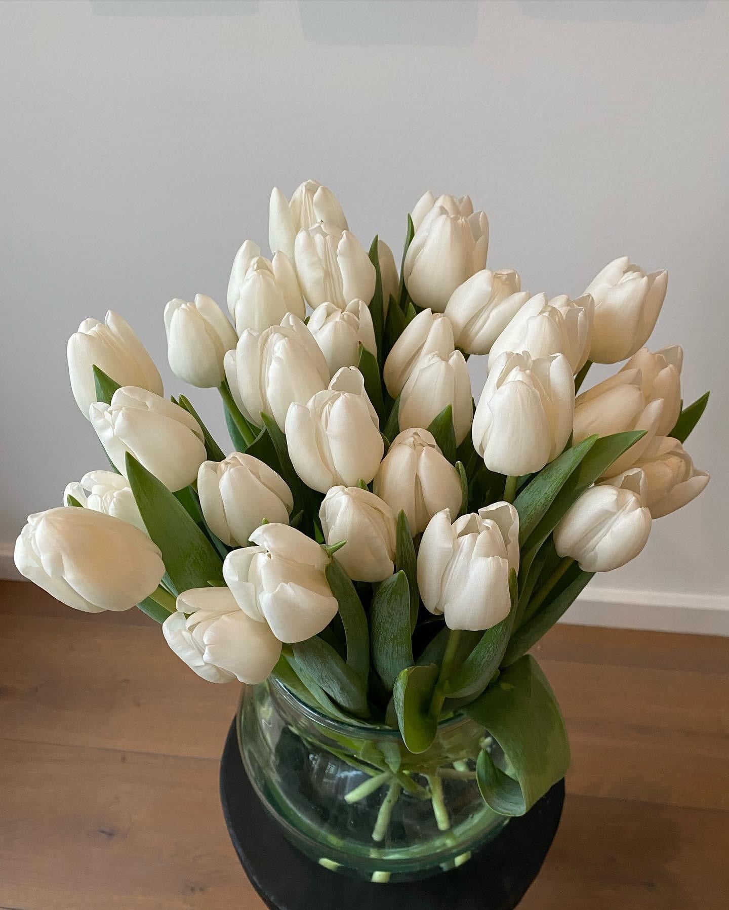 Tulip Classic Singles Collection 60 Bulb Pack