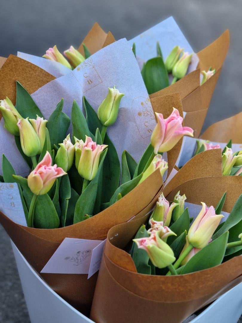Tulip Crown of Dynasty