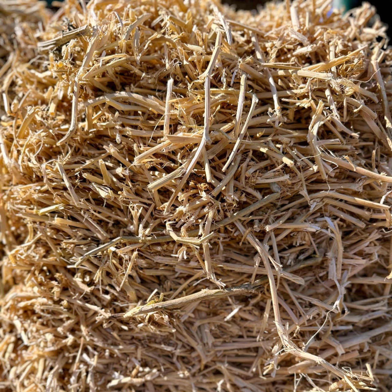 Bulk Pea Straw Bales