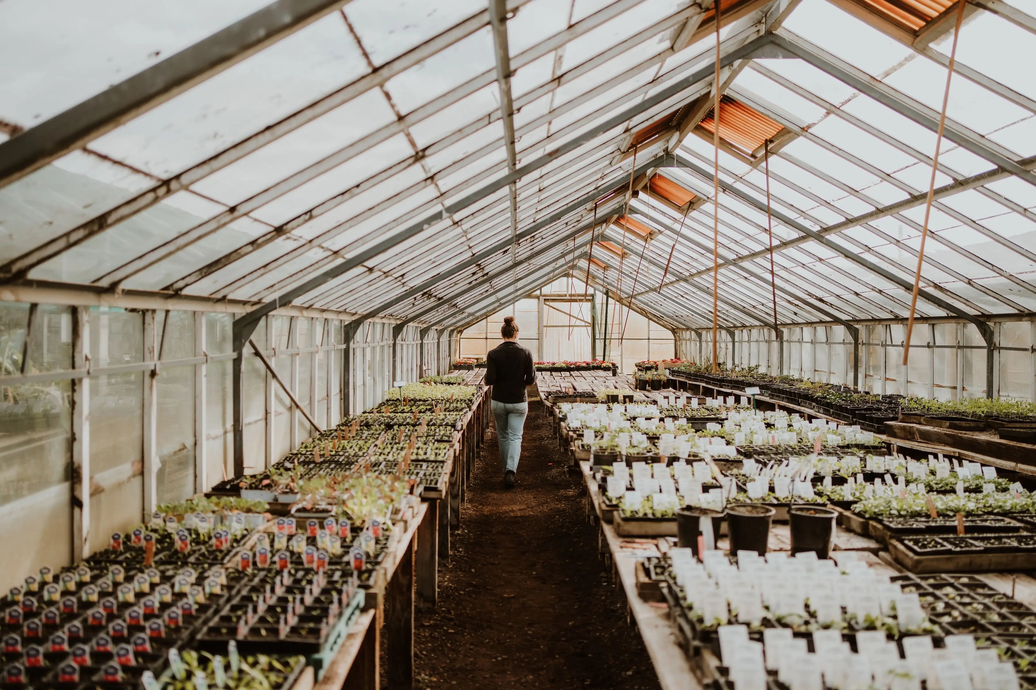 Gray Floral Nursery and Garden Centre in Blenheim, Marlborough, New Zealand