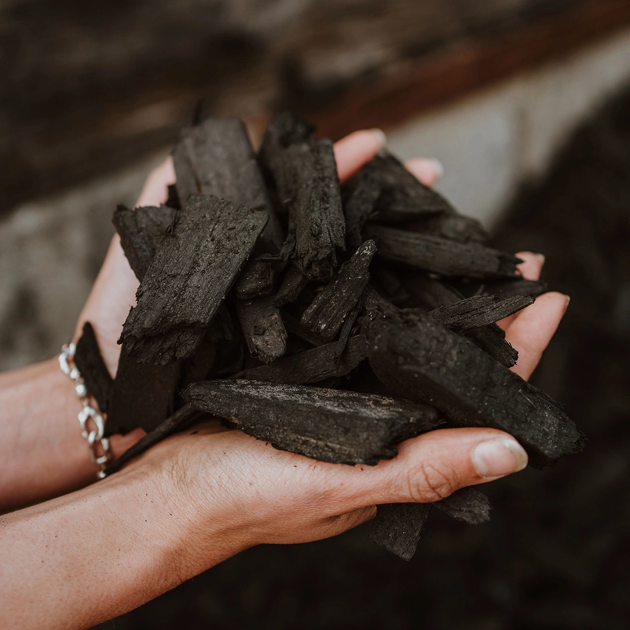 Black Bark available at Gray Floral in Blenheim