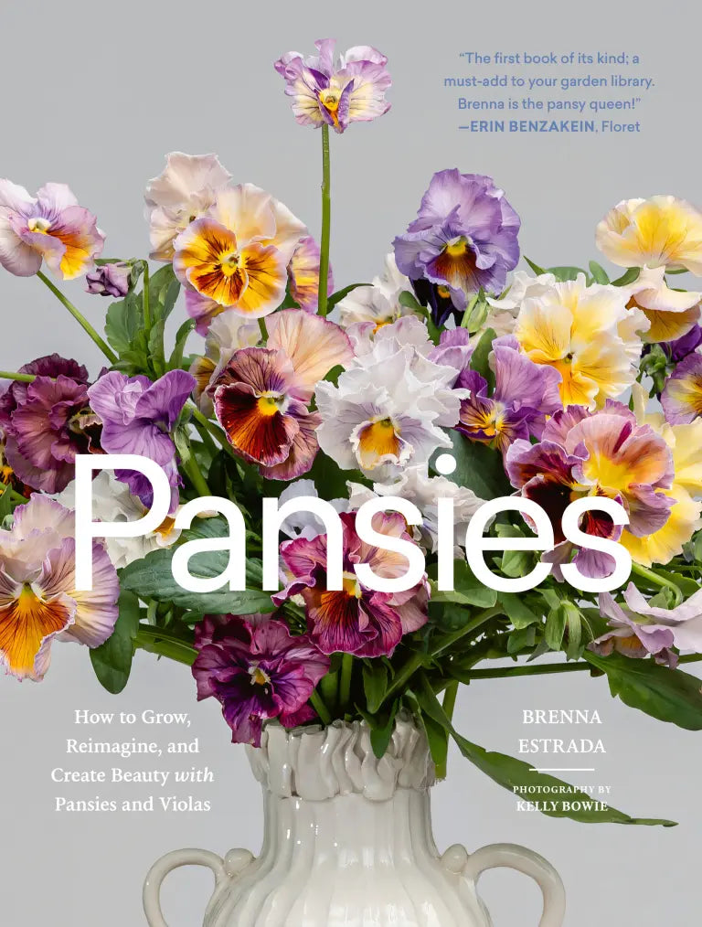 Pansies by Brenna Estrada