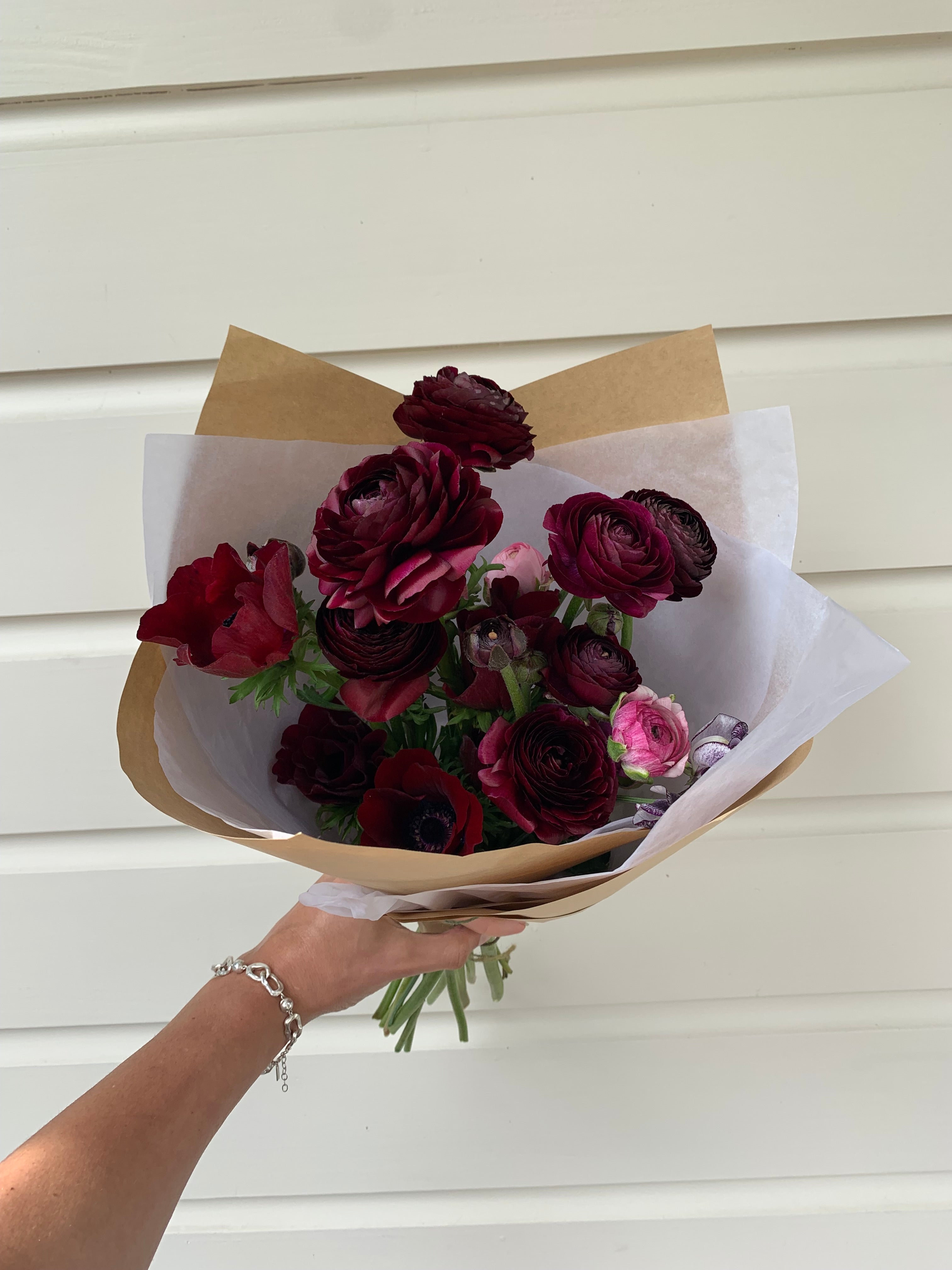 Cut Flower Ranunculus French Amandine Black Seedling Pack