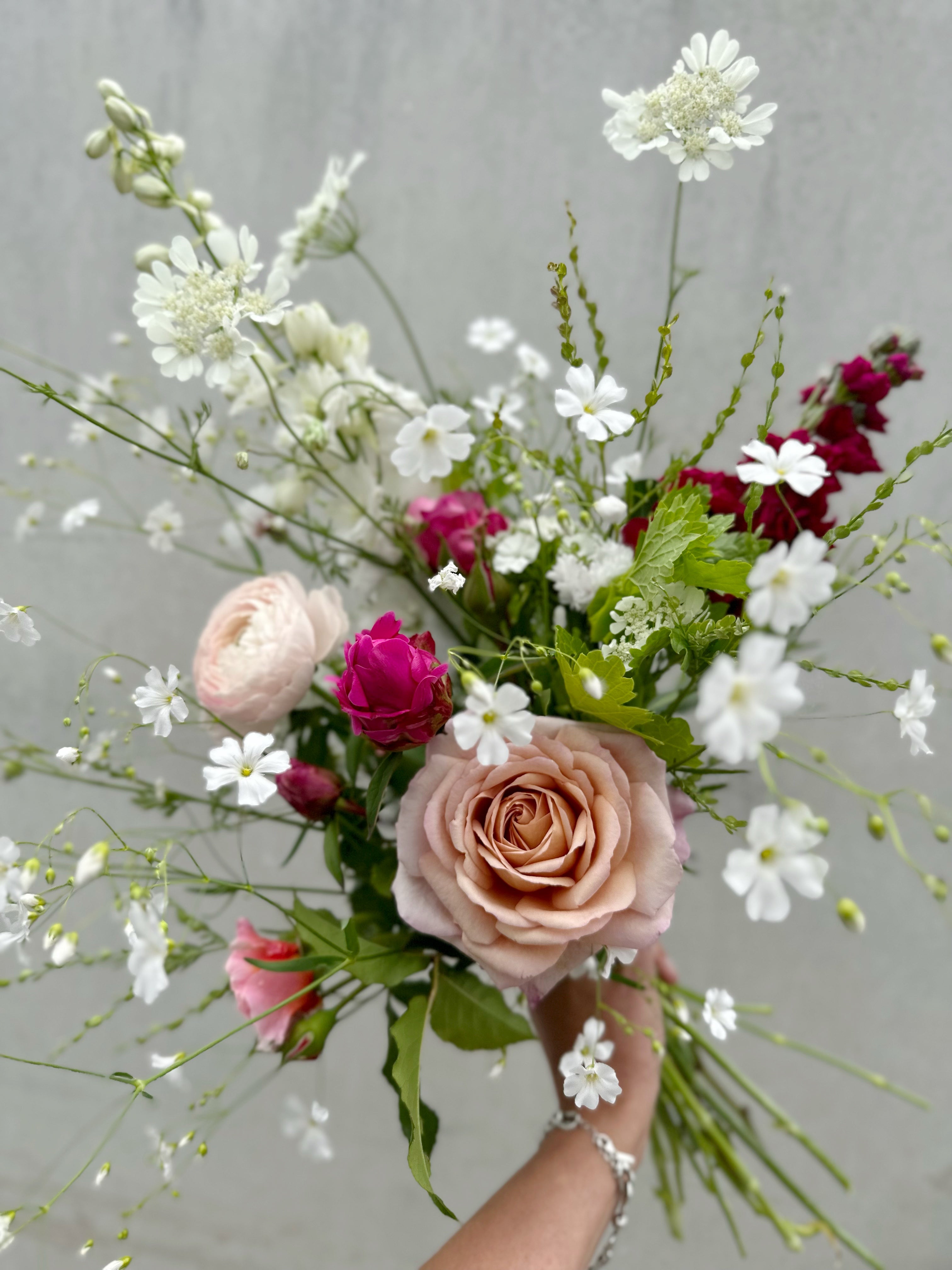 Cut Flower Gypsophila Covent Garden Seedling Pack