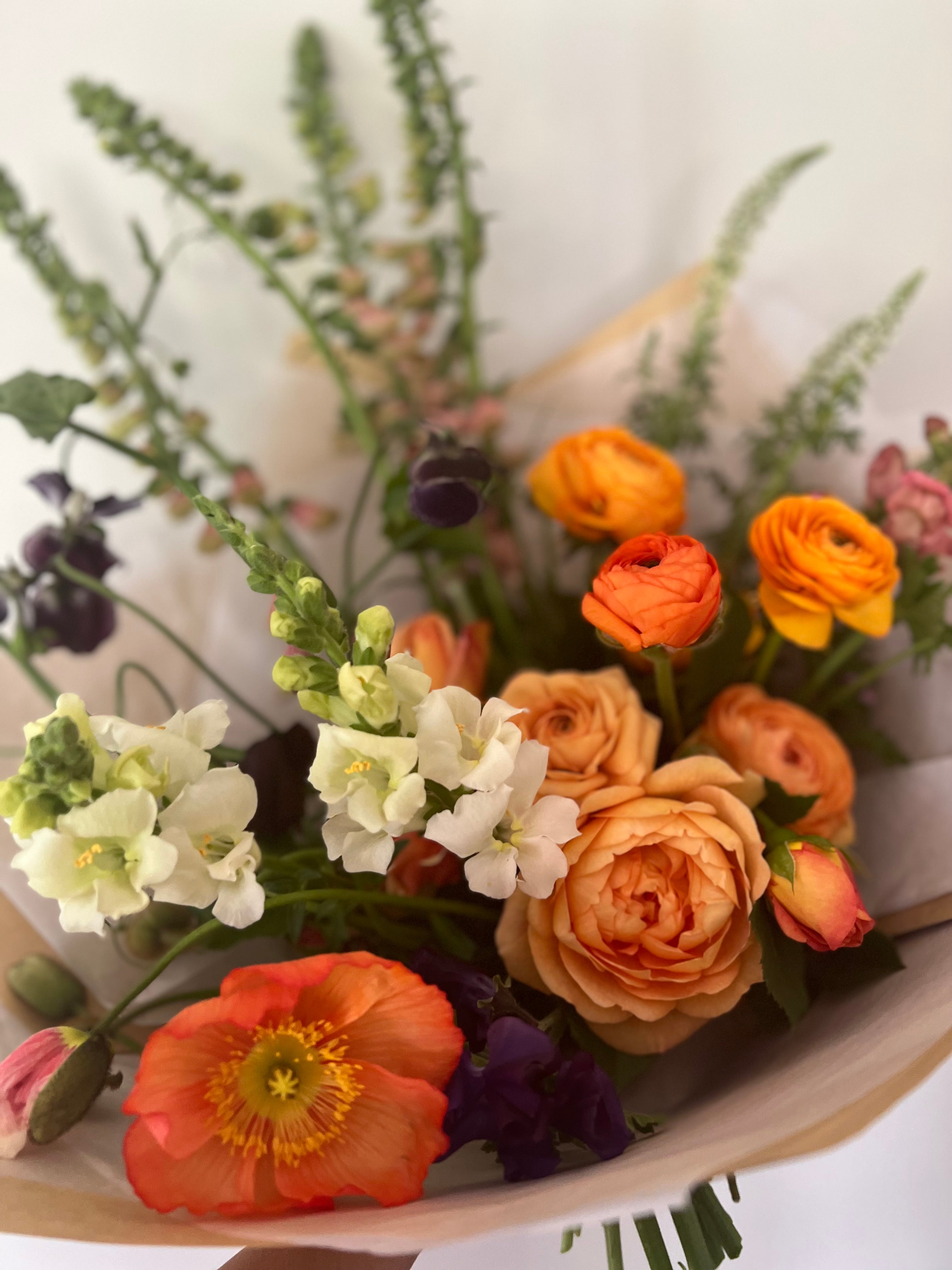 Cut Flower Ranunculus French Amandine Salmon Seedling Pack