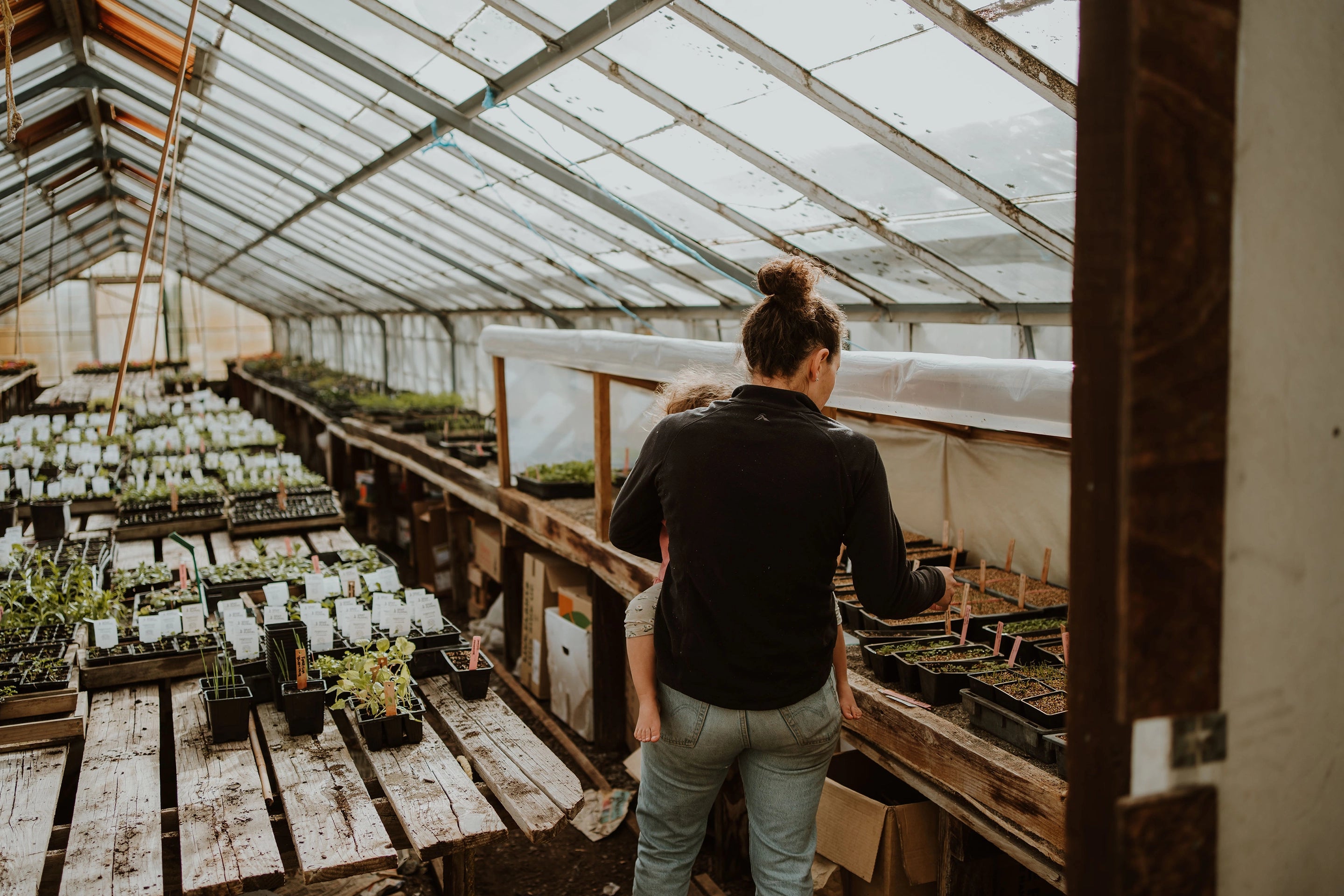 Gray Floral Nursery and Garden Centre in Marlborough, NZ