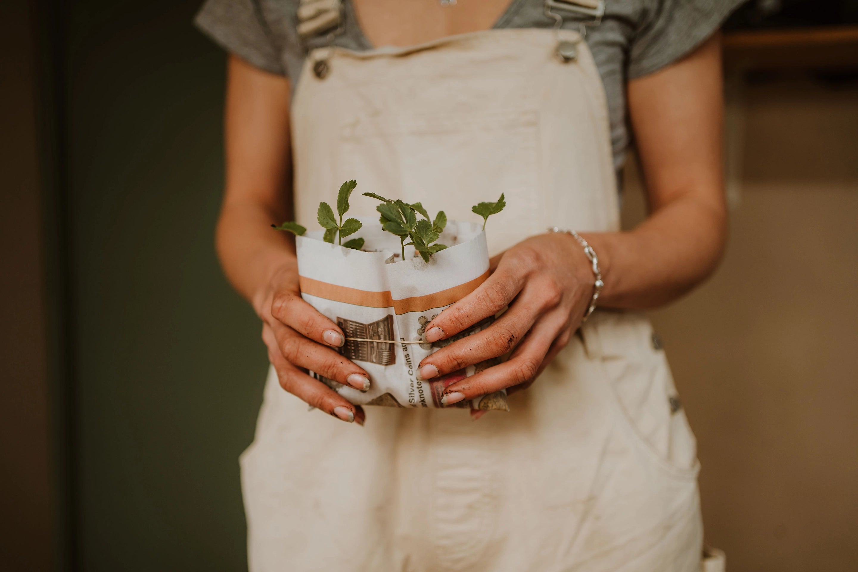 Plants handled with care at Gray Floral Nursery and Garden Centre