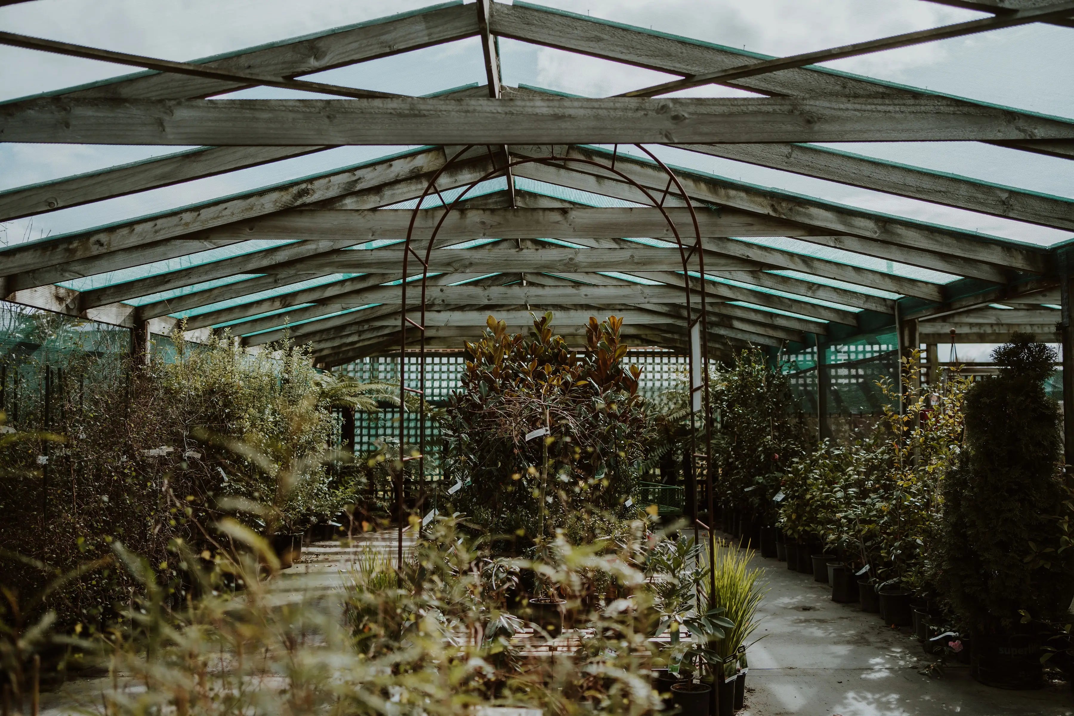 Gray Floral Nursery and Garden Centre in Blenheim, Marlborough, New Zealand
