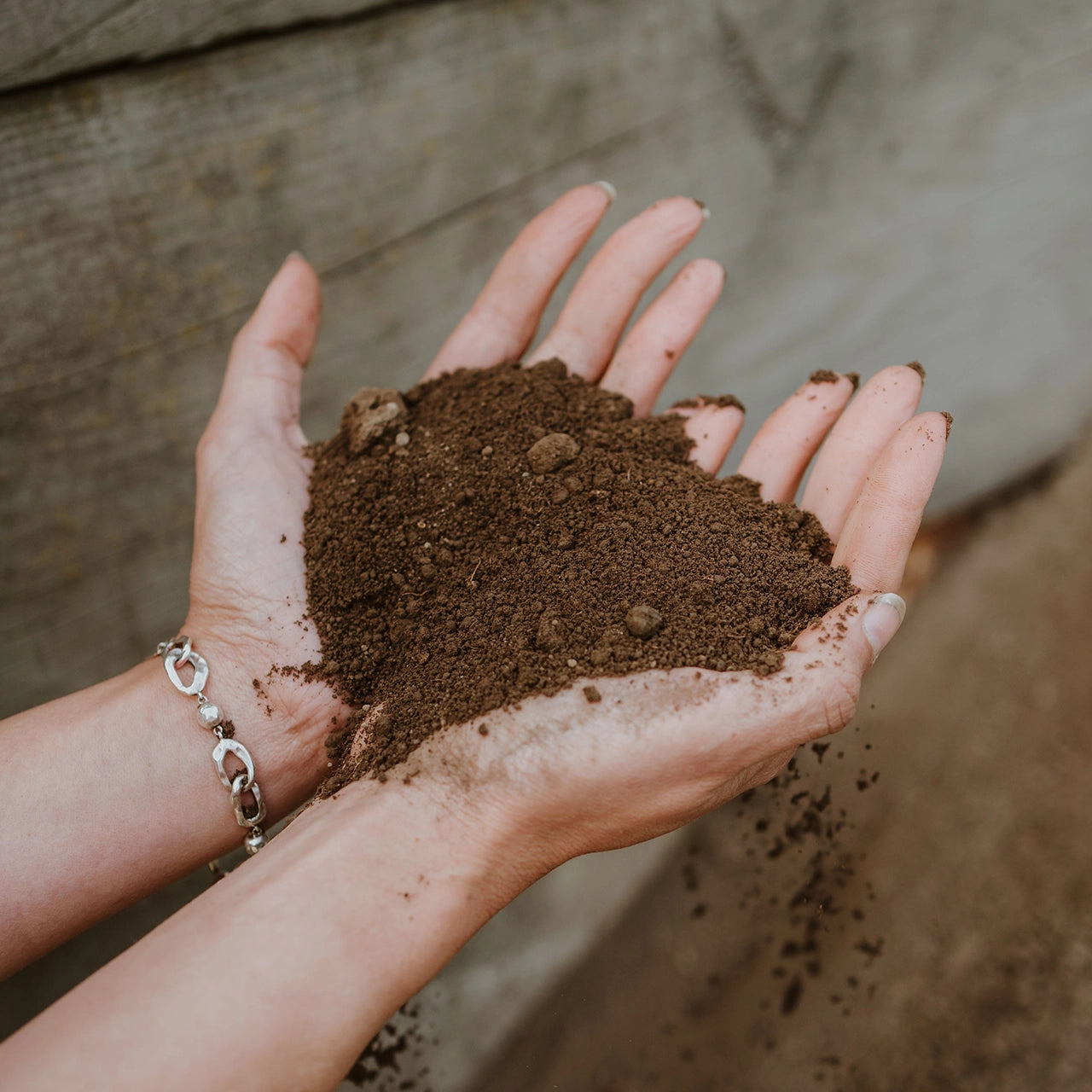 Top Soil available at Gray Floral in Blenheim